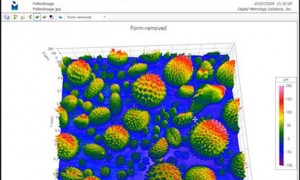 Digital_Metrology_Pollen_Image_in_OmniSurf3D
